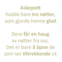 askepott-bryllup-i-utlandet